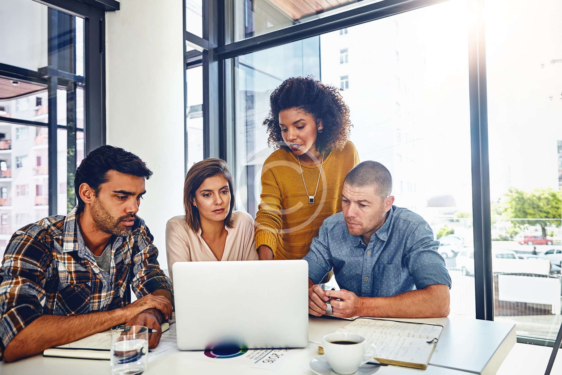 Importer & Distributer